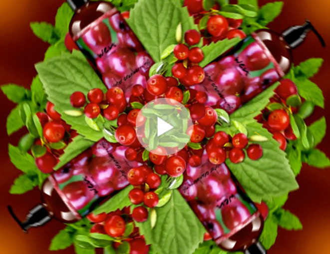 ‘Winter Cranberry Mint’ Seasonal Campaign